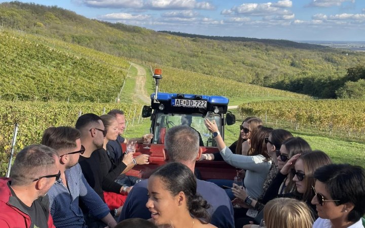 Schieber wine tasting with tractor vineyard tour in the Baranya Valley galéria kép