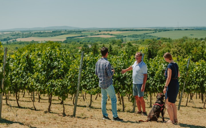 Schunk wine tasting with internationally gold-medal winning Syrah wine