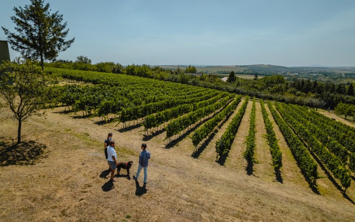 Schunk wine tasting with internationally gold-medal winning Syrah wine