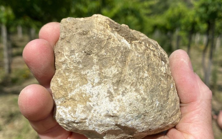Šiklóš borkóstoló igazi szűretlen natúr borokkal galéria kép