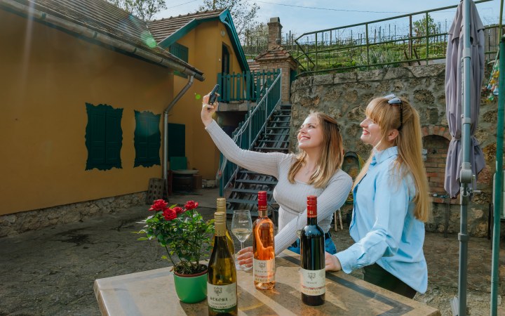Stróbl borkóstoló a baji szőlőhegyen galéria kép