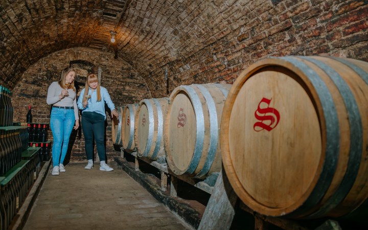 Stróbl borkóstoló a baji szőlőhegyen