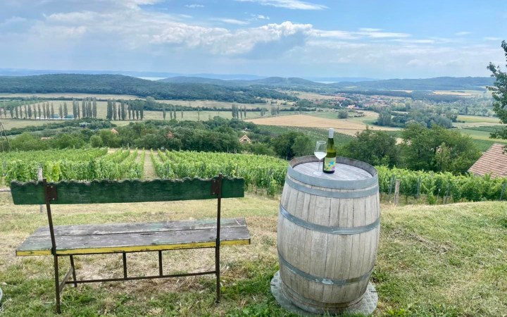 Strommer wine tasting with incredible Lake Balaton view galéria kép