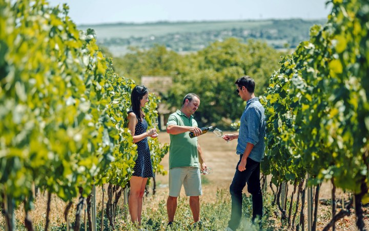 Szabadkai borkóstoló a kis régi présházban