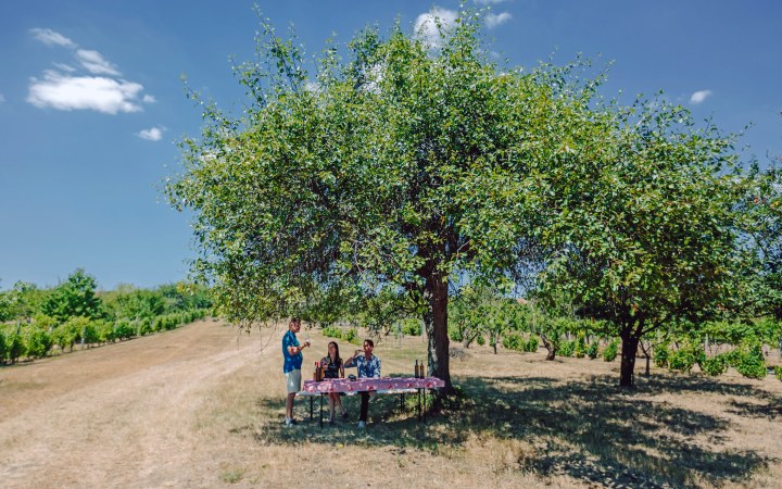 Szabadkai borkóstoló a kis régi présházban