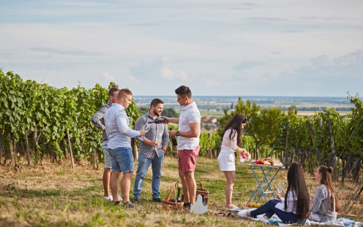 Szarka wine dinner with mineral-driven Mád wines and locally inspired dishes galéria kép