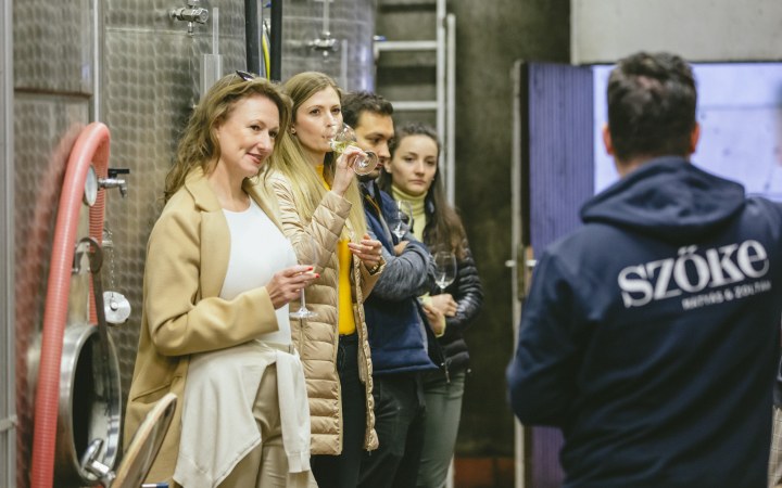Szőke Mátyás wine tasting with tank and barrel samples galéria kép