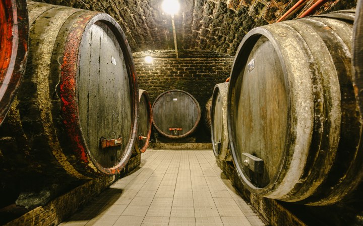 Szőke Mátyás wine tasting with tank and barrel samples