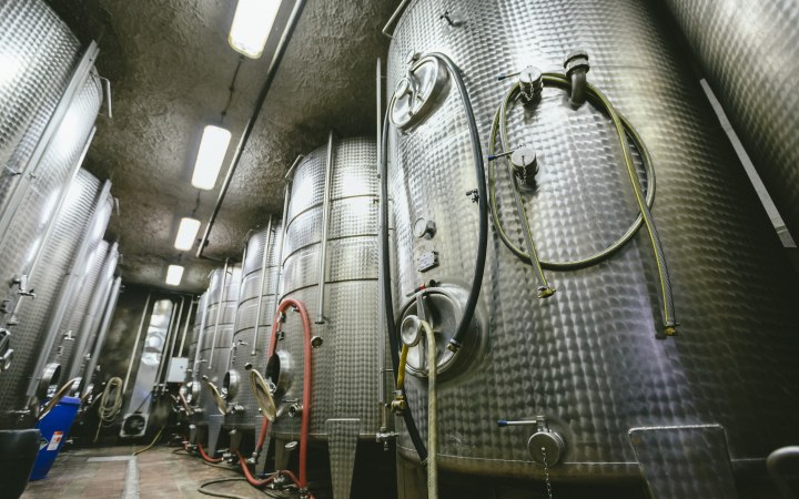 Szőke Mátyás wine tasting with full cellar tour