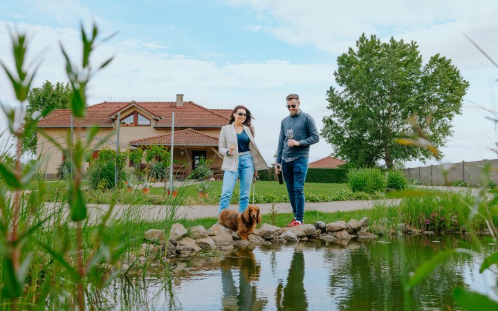 Szuhvin borkóstoló a szőlővel körbeültetett hetényi birtokon galéria kép