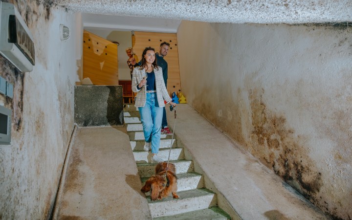 Szuhvin borkóstoló borvacsorával és szállás lehetőséggel