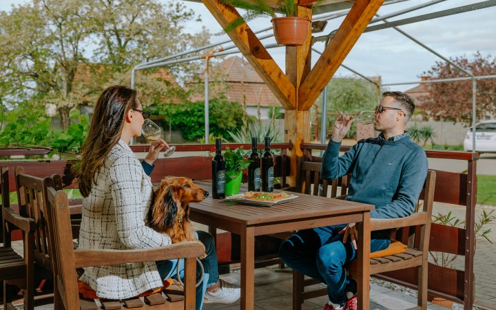 Szuhvin borkóstoló borvacsorával és szállás lehetőséggel