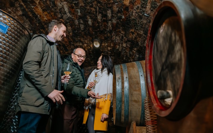 Tamašek wine tasting with fresh vintage wines