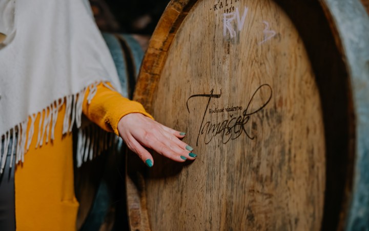 Tamašek wine tasting with fresh vintage wines