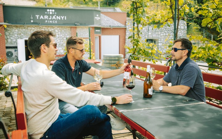 Tarjányi wine tasting from the best selection galéria kép