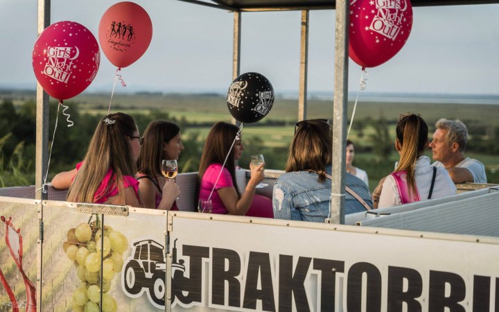 Taschner traktorbuli borkóstoló traktoros dűlőtúrával galéria kép