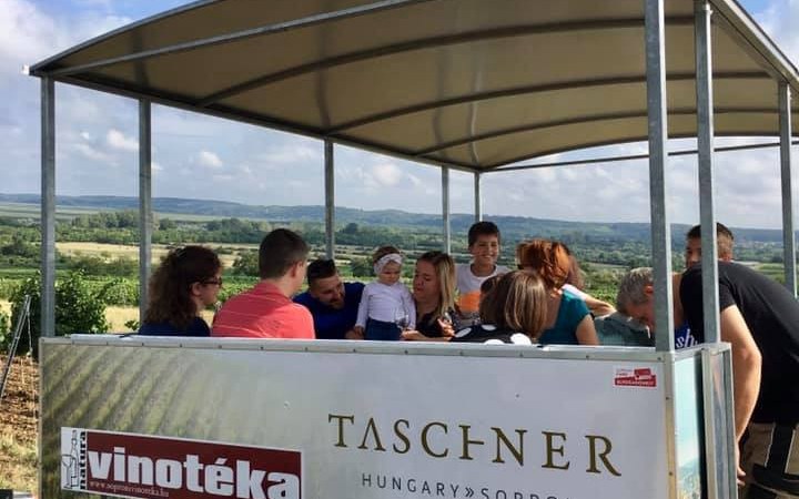 Taschner wine tasting with tractor vineyard tour