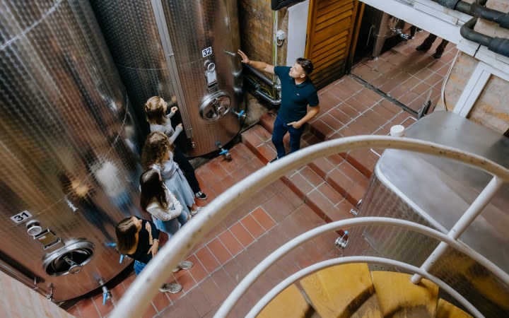 Tornai wine tasting from light to grand wines galéria kép