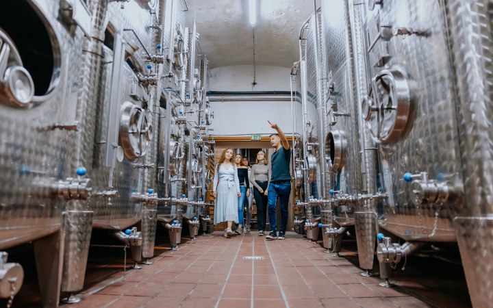 Tornai wine tasting from light to grand wines galéria kép