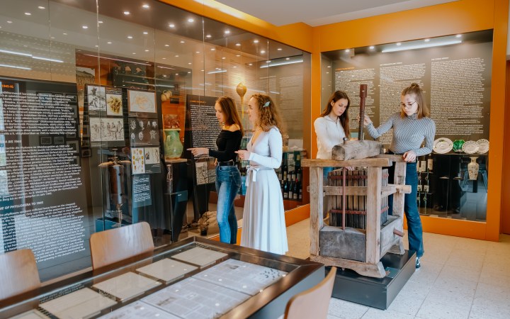 Tornai borkóstoló többféle somlói juhfarkkal galéria kép