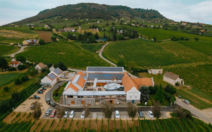 Tornai borkóstoló többféle somlói juhfarkkal