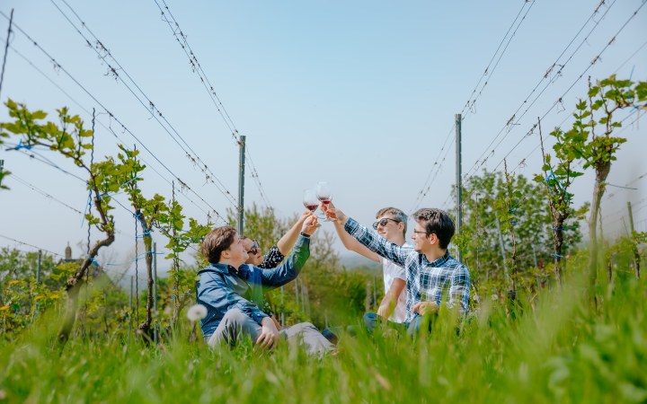 Turay borkóstoló neszmélyi bioborokkal