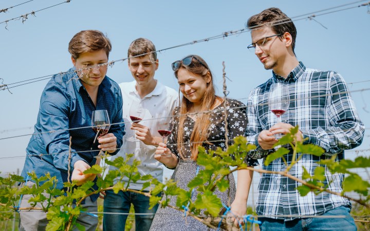 Turay borkóstoló neszmélyi bioborokkal