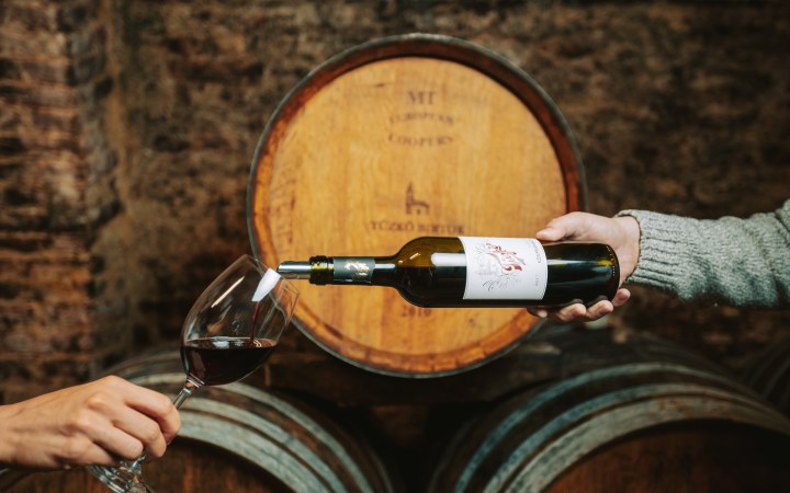 Tűzkő wine tasting in the 300-year-old wine cellar galéria kép