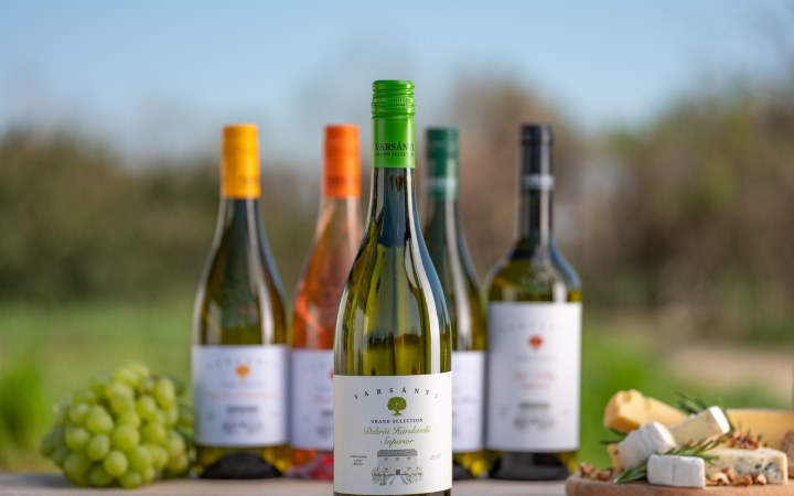 Varsányi wine tasting in Eger – 6 wines and a sparkling welcome drink in Szépasszony Valley galéria kép