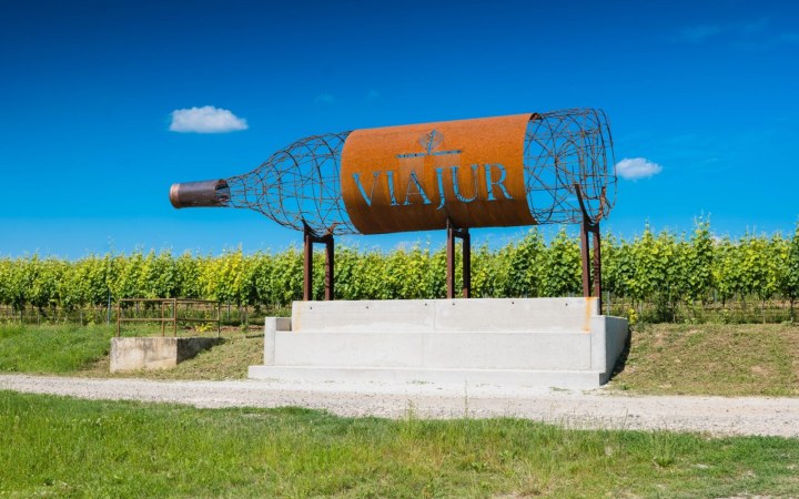 ViaJur wine tasting