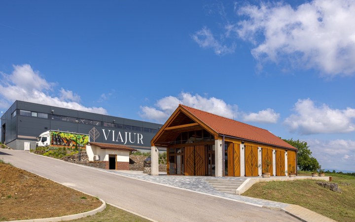 VIAJUR dűlőtúra golfautóval és négy üveg prémium borral az ültetvényeket járva galéria kép