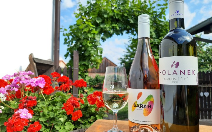 Holánek wine tasting in a renovated Baroque rectory