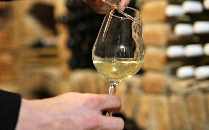 Ritopeky wine tasting built on the unique Kerner grape with youthful energy