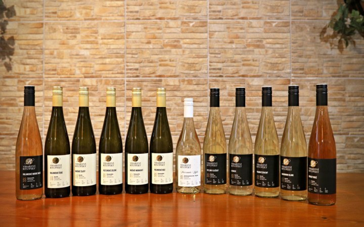 Ritopeky wine tasting built on the unique Kerner grape with youthful energy