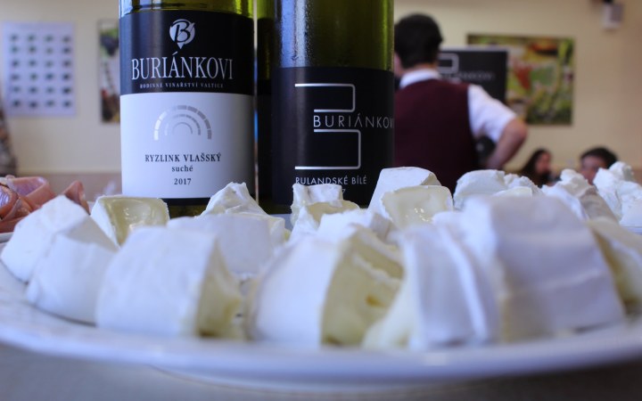 Buriánkovy wine tasting with five enchanting wines full of purity, aroma, and balance