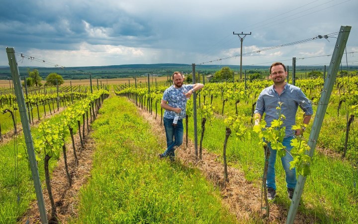 Berta wine tasting with jeep tour among the vineyards of Kürt galéria kép