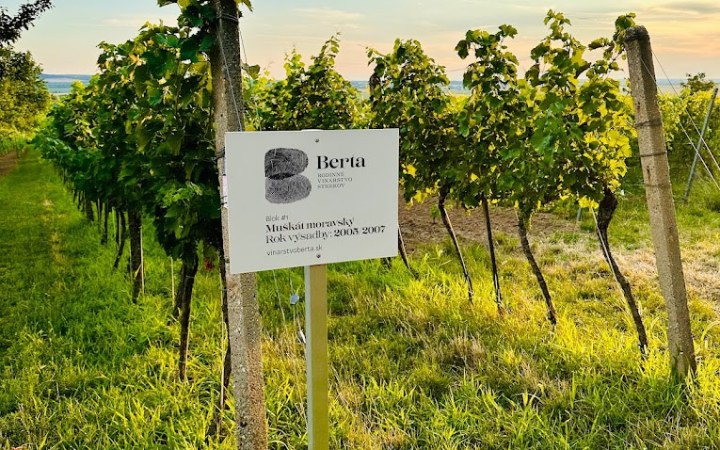 Berta wine tasting with jeep tour among the vineyards of Kürt galéria kép
