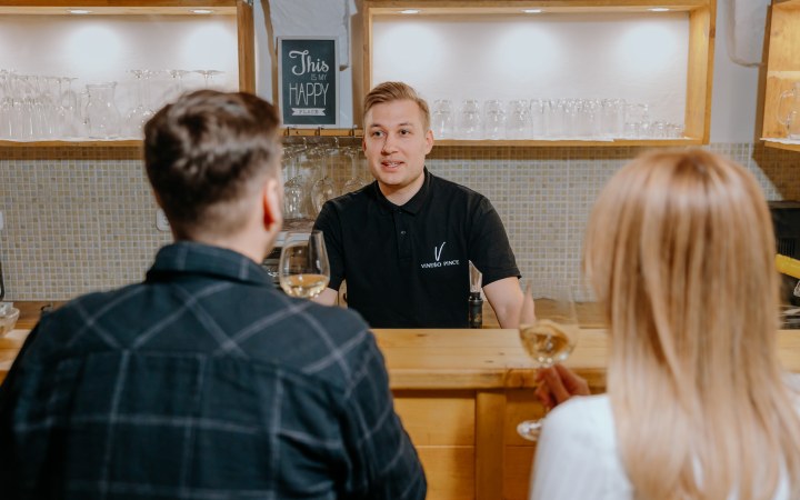 Vinello borkóstoló válogatott tételekkel a Pátyi Pincehegyen galéria kép
