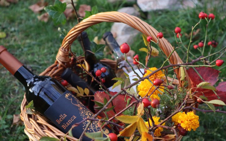 Fiala wine tasting with authentic homemade gastronomy, unlimited tasting, and Slovak hospitality galéria kép