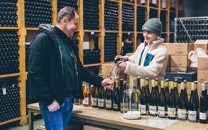 Ludvik wine tasting with internationally awarded wines galéria kép