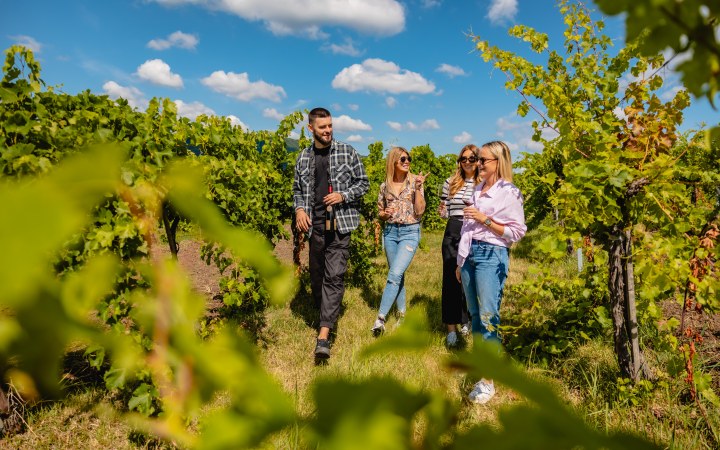 Domin & Kušický BIO wine tasting with natural wines and traditional Slovak varieties galéria kép