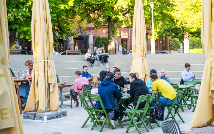 Vinodom borvacsora prémium soproni szelekciókkal és különleges hal ételekkel párosítva galéria kép