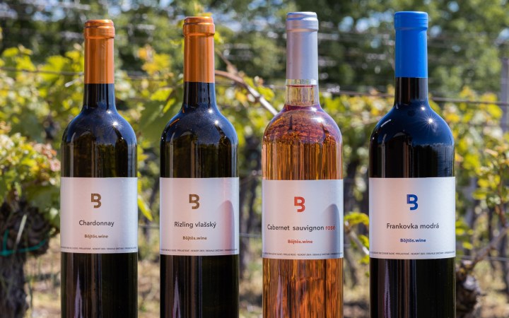 VINOX borkóstoló pincebemutatóval és hordómintával galéria kép