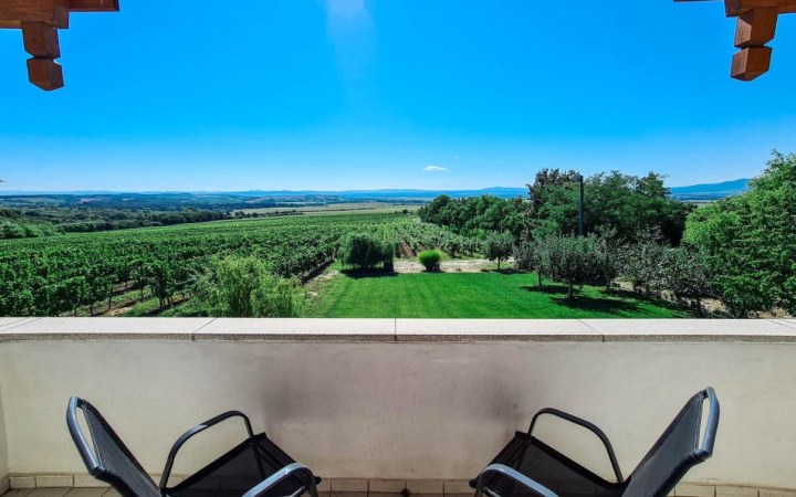 VINOX wine tasting with award-winning wines and beautiful views galéria kép