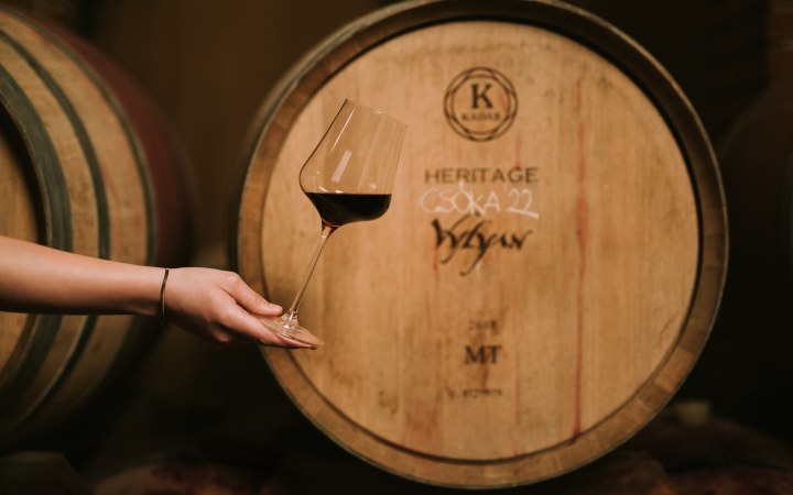 Vylyan wine tasting with premium Villány red wines galéria kép