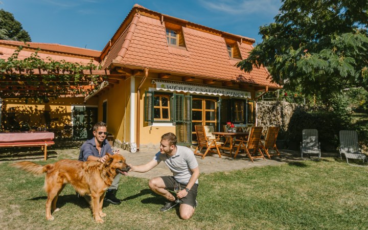 Wéber wine tasting at the foot of the Gerecse mountains galéria kép