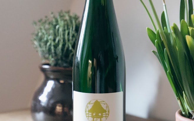Adam-Mühle wine tasting with four white wines crafted by women in a historic medieval mill galéria kép