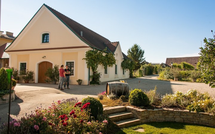 ALLRAM wine tasting with exceptional white wines from Austria’s global white wine ambassador galéria kép
