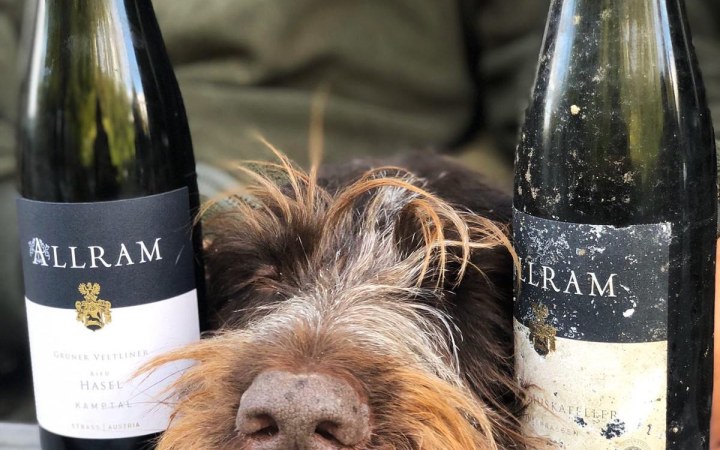 ALLRAM wine tasting with exceptional white wines from Austria’s global white wine ambassador galéria kép
