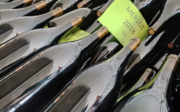 Conrad wine tasting at Rust's favorite town square café galéria kép